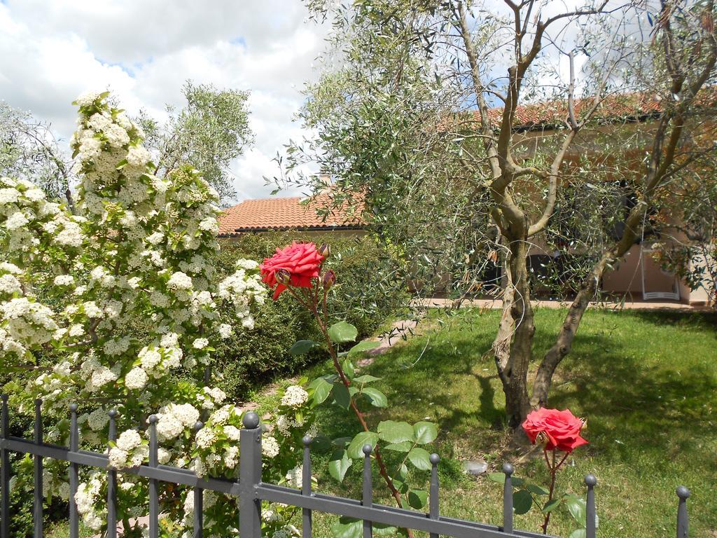 منزل الضيف ساتورنيا  في Poggio Degli Olivi المظهر الخارجي الصورة