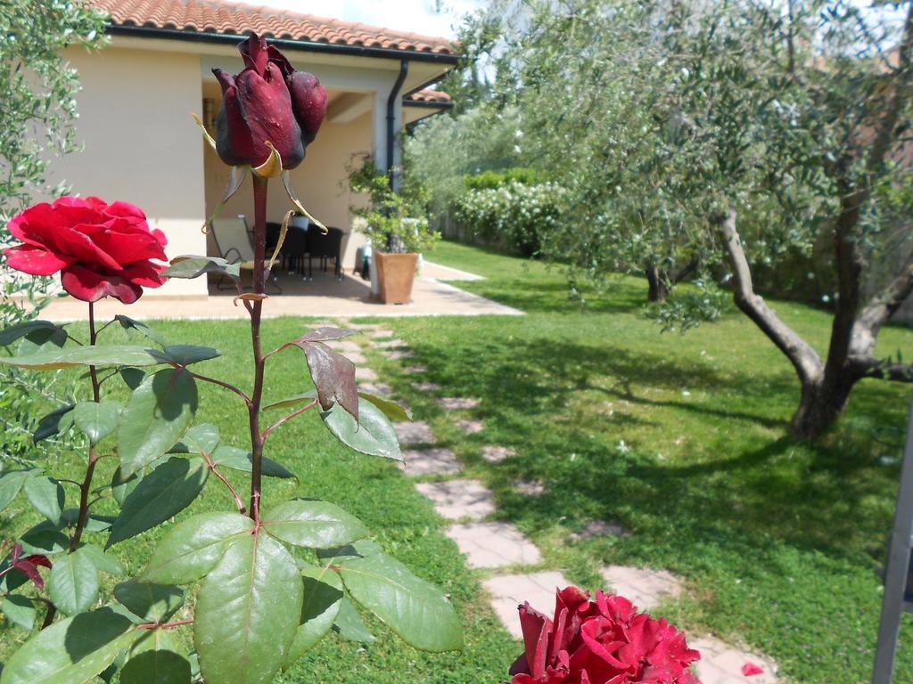 منزل الضيف ساتورنيا  في Poggio Degli Olivi المظهر الخارجي الصورة
